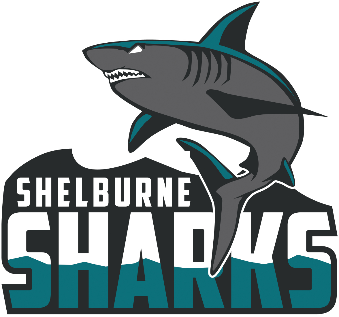 Shelburne Sharks 2015-Pres Primary Logo iron on heat transfer